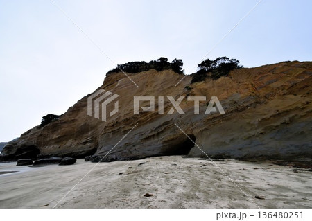 種子島・千座の岩屋・波の侵食が作り出した美しい地層と洞窟 136480251