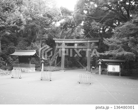 都心の静寂を感じる神社参道と大鳥居 136480301