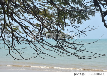 landscape of sea in sunny day at Khai Chet Beach travel location in Thailand 136480614