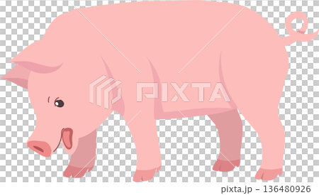 Cute pink pig illustration showing a farm animal standing outdoors 136480926