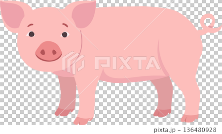 Pig illustration cute cartoon farm animal character Pig illustration cute cartoon farm animal character 136480928