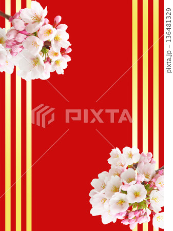 桜の花 桜の花 136481329