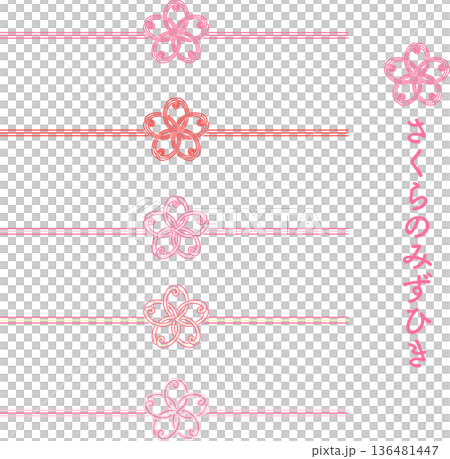 桜の水引飾りのベクターイラスト素材 136481447