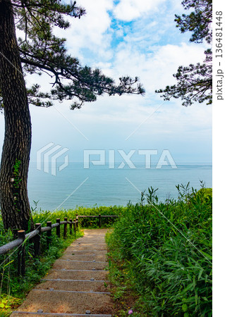 尼御前岬3 136481448