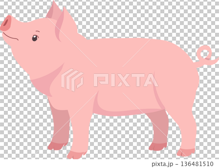 Cute piglet cartoon farm animal standing side view pink pig Cute piglet cartoon farm animal standing side view pink pig 136481510