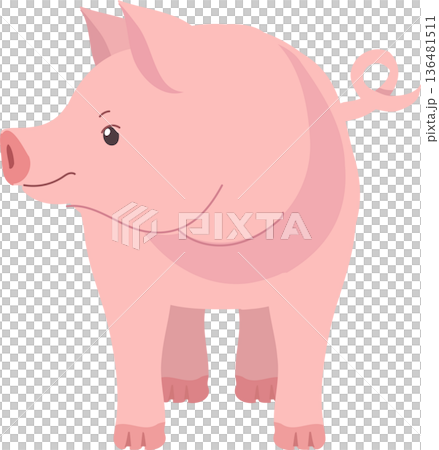 Adorable farm pig character in soft pink tones, Adorable farm pig character in soft pink tones, 136481511