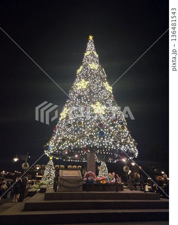 ライトアップされたクリスマスツリー 136481543
