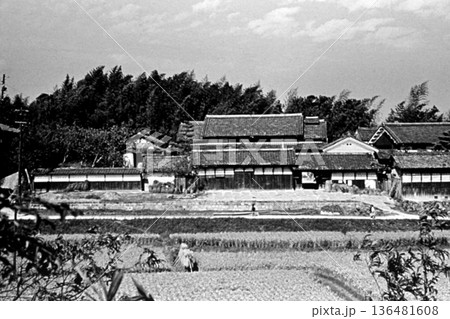 古写真　1957年　日本の農村の豪農の邸宅 136481608