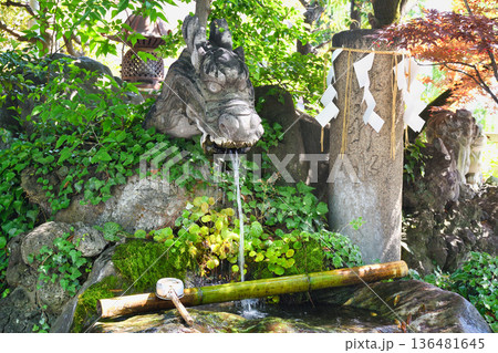 松戸神社 龍神さまと御神水(千葉県松戸市) 松戸神社 龍神さまと御神水(千葉県松戸市) 136481645