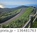 海沿いの風景 136481763