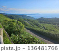 海沿いの風景 136481766