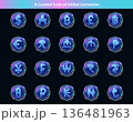 Global Currency Icon Set for Fintech and Digital Assets 136481963