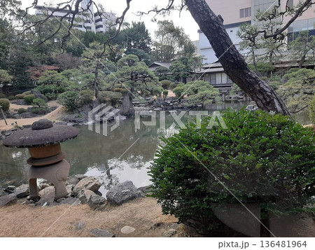 緑の庭園の綺麗な庭 136481964