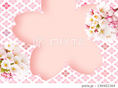 桜の花 桜の花 136482164