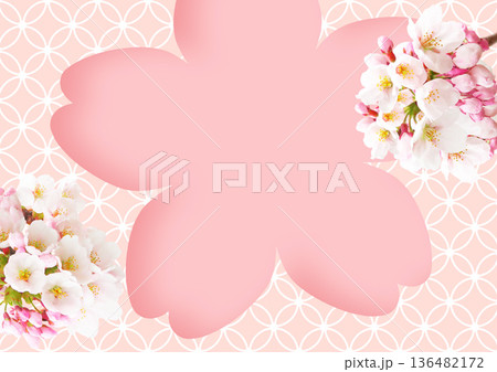 桜の花 桜の花 136482172