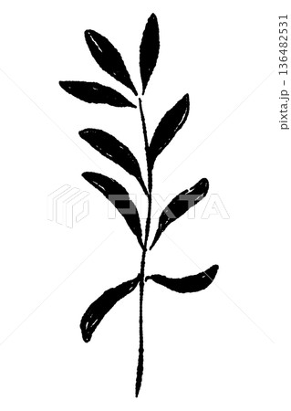 縦に伸びるオリーブの枝のイラスト 136482531