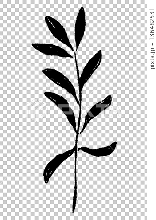 縦に伸びるオリーブの枝のイラスト 136482531
