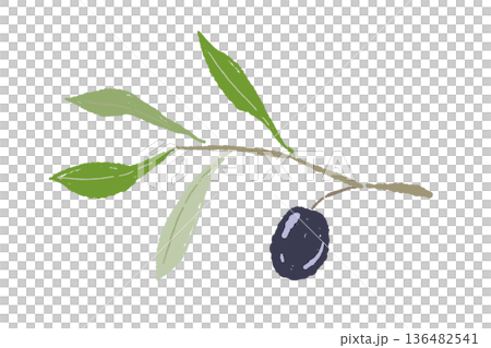 一根樹枝上掛著一顆黑橄欖的插圖。簡單的水果素材。 136482541