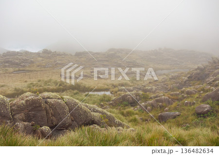 View of rocky mountain landscape in high altitude area of Itatiaia national park under fog. Rio de Janeiro, Brazil View of rocky mountain landscape in high altitude area of Itatiaia national park under fog. Rio de Janeiro, Brazil 136482634