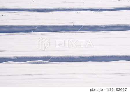 260210丹生川町方g002 260210丹生川町方g002 136482667