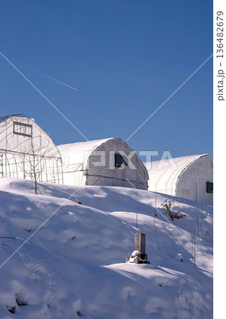 260210丹生川町方g036 260210丹生川町方g036 136482679