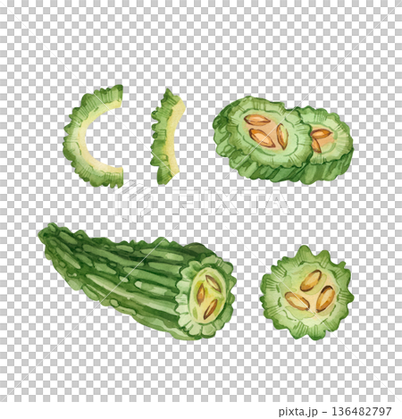A set of watercolor illustrations of bitter melon and momordica on a white background. A healthy eating concept with a hand-drawn watercolor momordica plant for diet and nutrition, as well as menu. 136482797