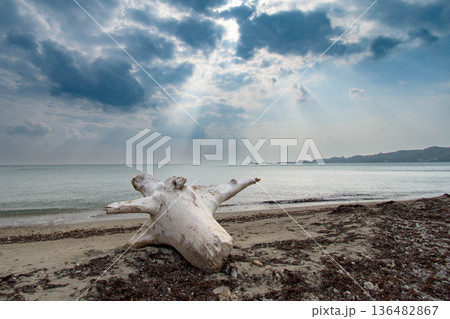 砂浜に流れ着いた白い流木と天使の梯子 砂浜に流れ着いた白い流木と天使の梯子 136482867
