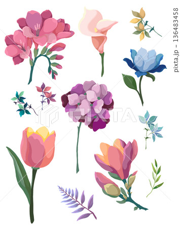 set of flowers and leaves 136483458