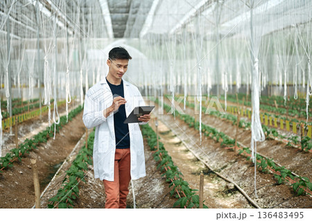 Male researchers using tablet in a Shishito Pepper greenhouse Male researchers using tablet in a Shishito Pepper greenhouse 136483495