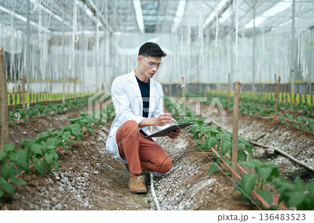 Researchers man holding paper chart checking the progress and growth of plants. 136483523