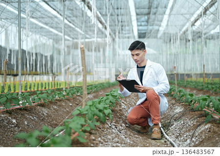 Researchers man holding paper chart checking the progress and growth of plants. Researchers man holding paper chart checking the progress and growth of plants. 136483567