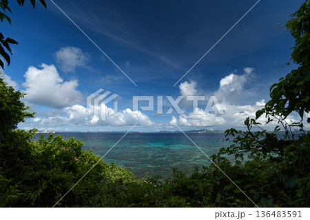 南国の海と夏の雲 136483591