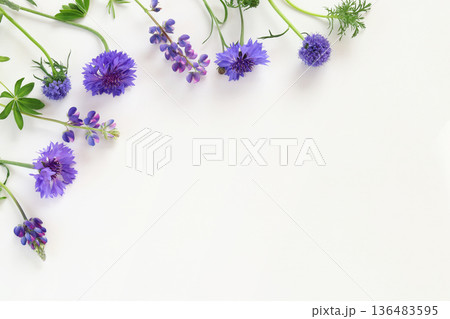青い草花のフレーム 青い草花のフレーム 136483595