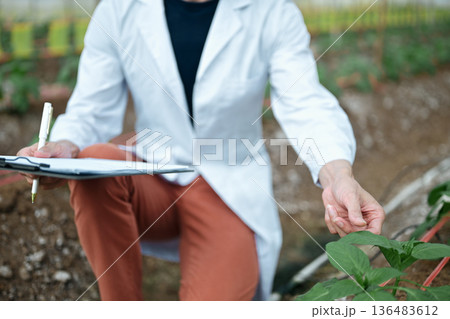 Closeup Researchers man holding paper chart checking the progress and growth of plants. 136483612