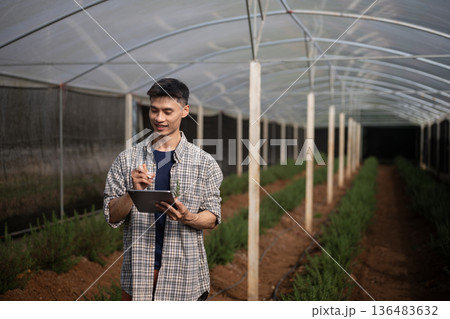 Gardener man working on tablet in a greenhouse with rosemary Gardener man working on tablet in a greenhouse with rosemary 136483632