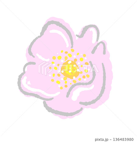 優しい雰囲気のノバラの花のイラスト ピンク色の野花素材 136483980