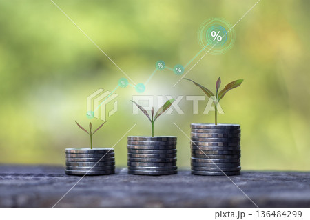 Sustainable financial growth concept with green plants growing on coin stacks, featuring rising percentage and dollar icons graph for investment success and long-term wealth management. 136484299