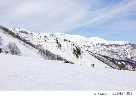長野県白馬村の八方尾根スキー場の景色 136484302