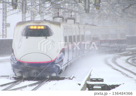 冬の東北新幹線／上越新幹線E2系（はやて型車両） 136484366