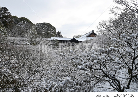 京都市東山東福寺 通天橋の幻想的な雪景色 京都市東山東福寺 通天橋の幻想的な雪景色 136484416