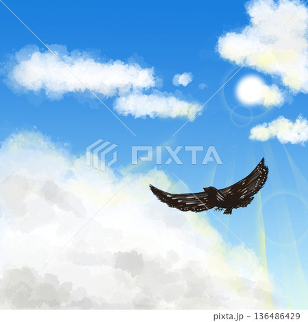 空を飛ぶ鳥のイラスト 空を飛ぶ鳥のイラスト 136486429