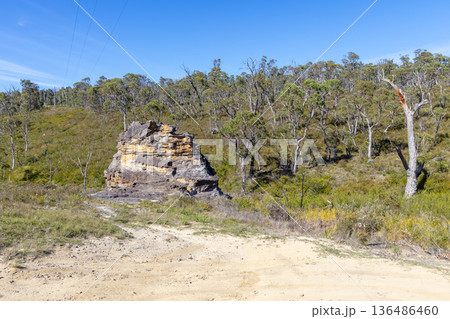 Photograph of an unusual rock formation on the edge of a forest 136486460