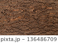 Rough natural tree bark texture background, detailed brown wood surface macro photography. 136486709