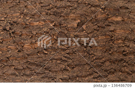 Rough natural tree bark texture background, detailed brown wood surface macro photography. Rough natural tree bark texture background, detailed brown wood surface macro photography. 136486709