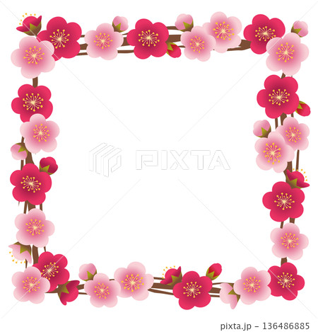 梅の花や木の枝の正方形のフレーム 136486885