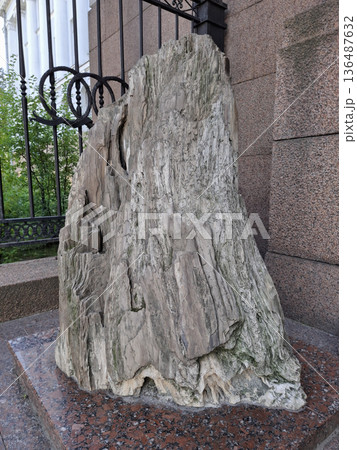 Solid ancient petrified wood fragment 136487632