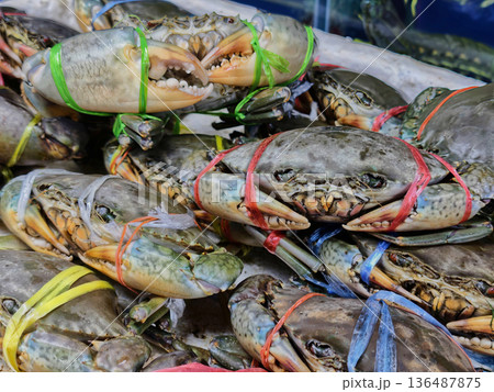 Fresh Crab in the seafood market Fresh Crab in the seafood market 136487875