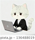 困った表情でパソコン作業をするビジネス猫キャラクター 136488019