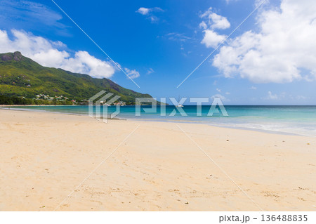 Serene tropical beach featuring white sand and ocean 136488835