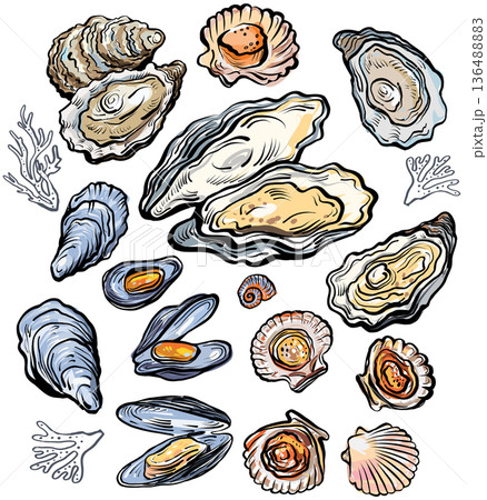 Seafood shell collection 136488883